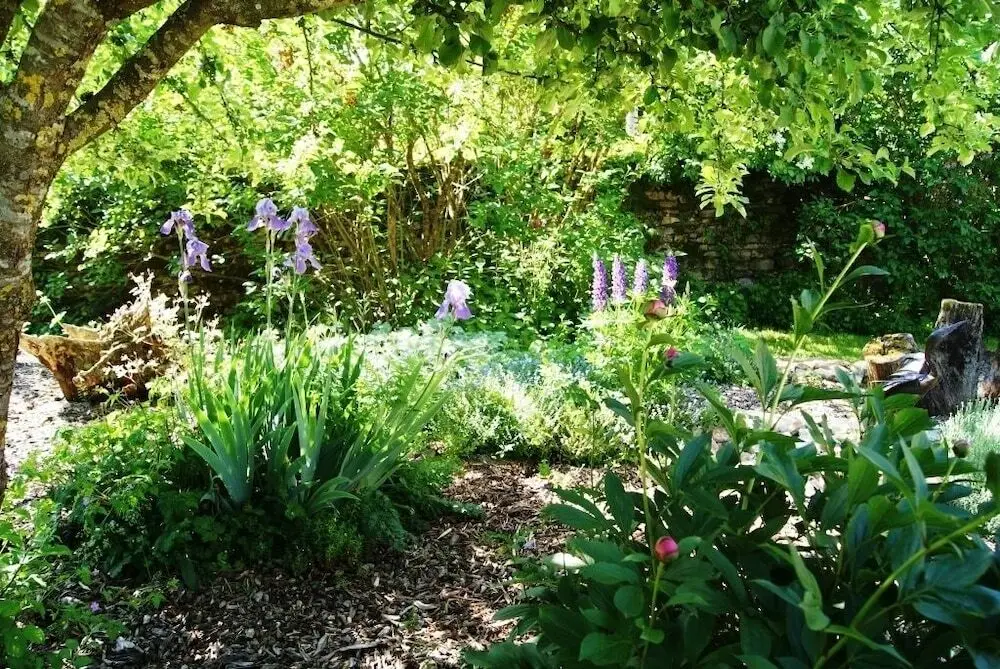 Le Prieuré de Jouhe, location de gites et chambres d'hôtes 5 64774bf608fa8032d6ac543c8b34ff335cf5a417