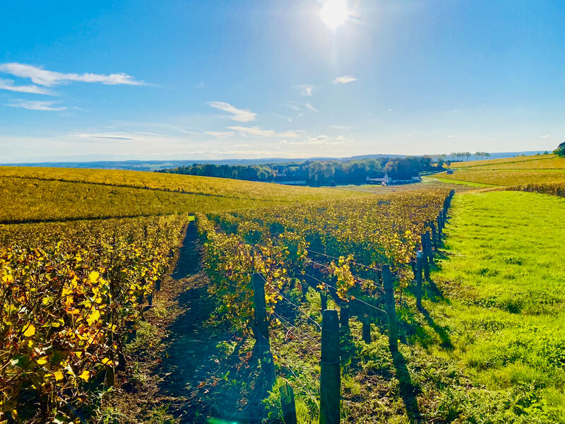 Visiter la Bourgogne-Franche-Comté 2 Vignobles en BFC